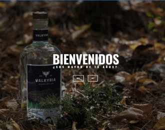 Diseño Sitios Web - Valkyria Gin